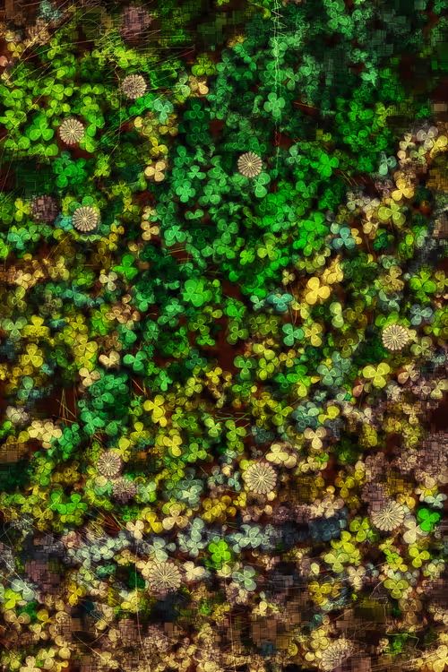 Item #478000003 Media