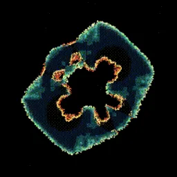 Item #395000136 Media