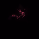 424000157