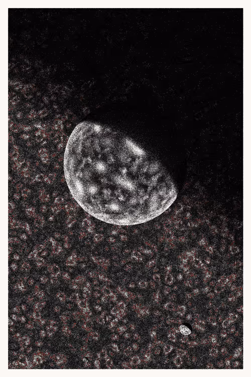 Item #434000138 Media