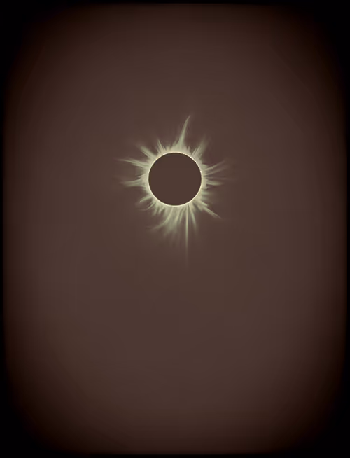 Item #423000085 Media