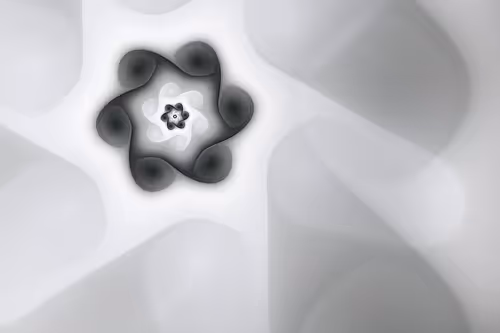 Item #394000164 Media