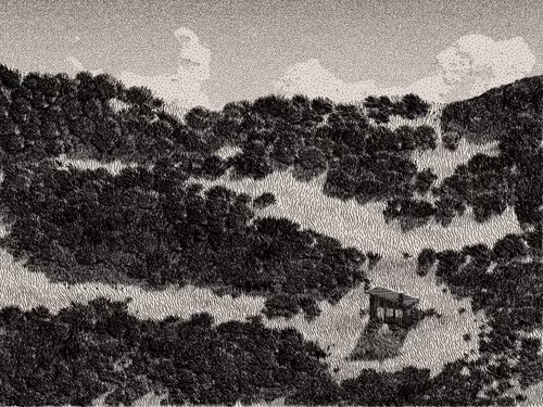 Item #476000086 Media