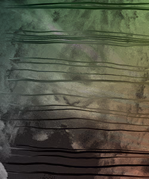 Item #405000001 Media