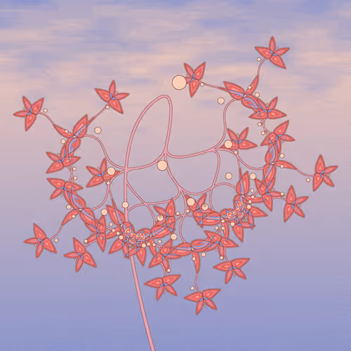 Item #380000171 Media