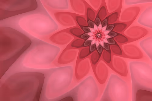 Item #394000085 Media