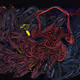456000274