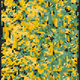 482000056