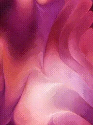 Item #399000109 Media