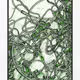 436000513