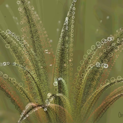 Fleur #11