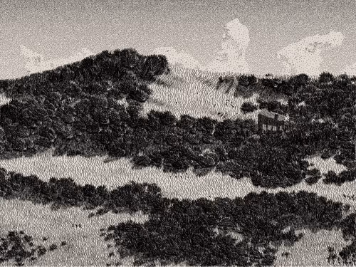 Item #476000110 Media