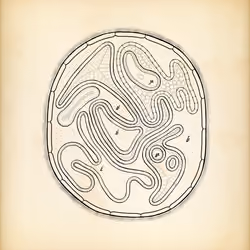 Cytographia #279