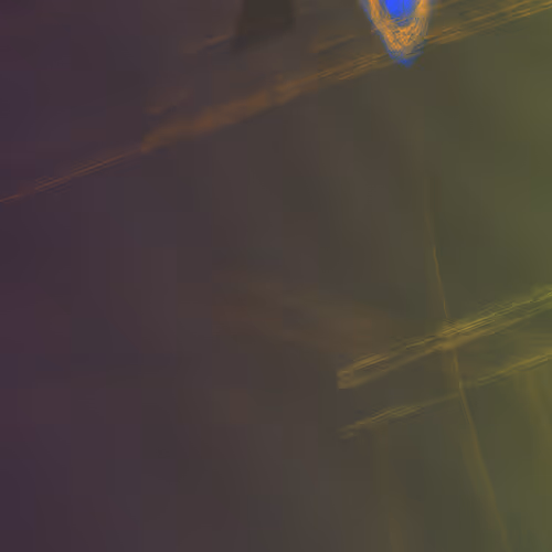 Item #477000013 Media