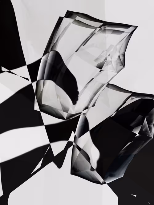 Item #455000345 Media