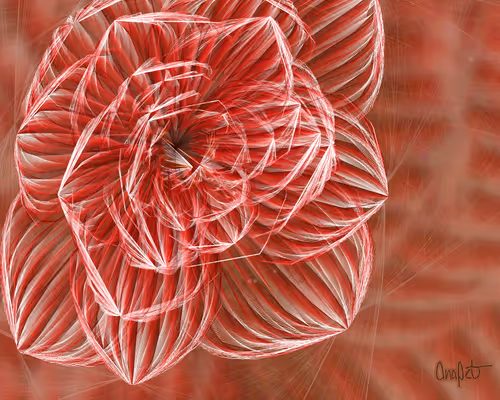 Item #378000014 Media