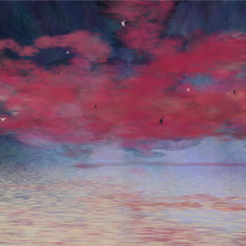 Seasky By Ralgo