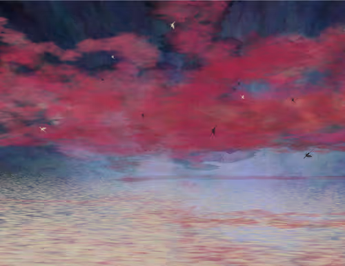 Item #459000016 Media