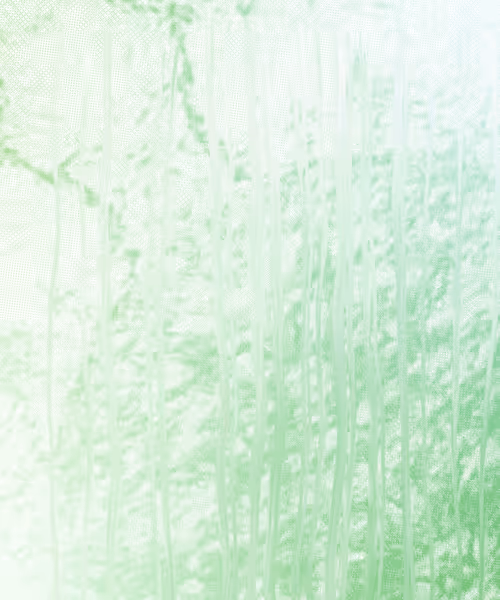 Item #405000065 Media