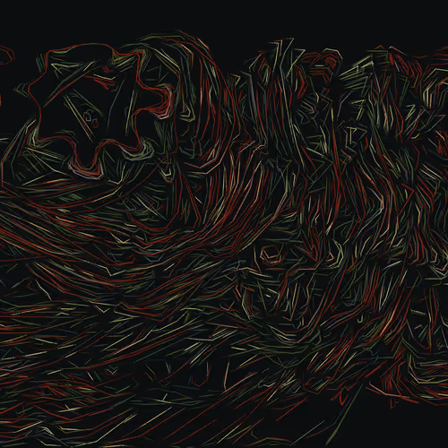 Spaghetti Bones By Joshua Bagley