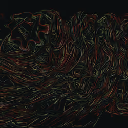 Spaghetti Bones #588