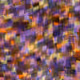409000181