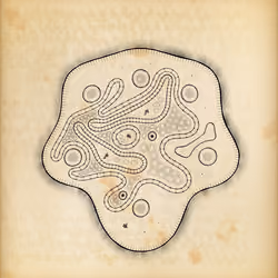 Cytographia #379