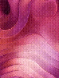 Item #399000368 Media