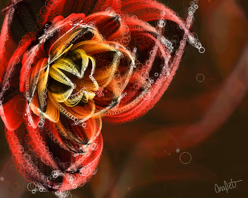 Item #378000097 Media