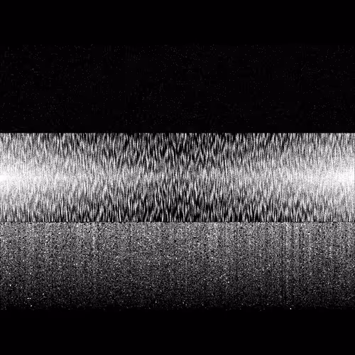 Item #426000239 Media