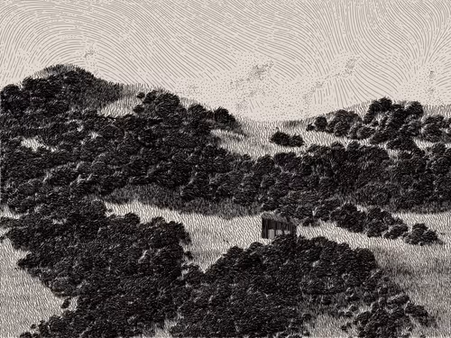 Item #476000088 Media