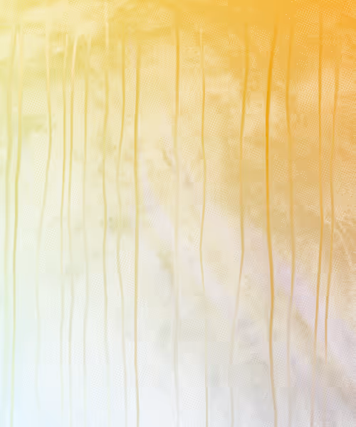 Item #405000124 Media