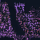 456000272