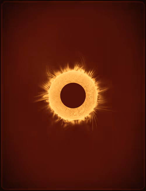 Item #423000363 Media