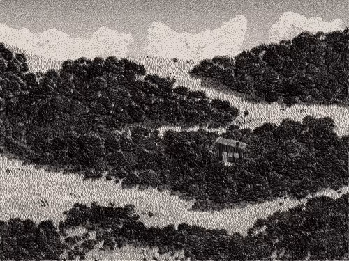 Item #476000101 Media