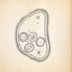 Cytographia #405