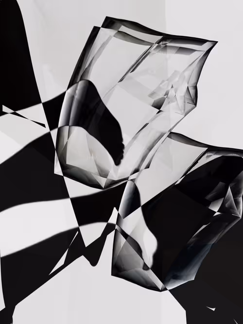 Item #455000345 Media