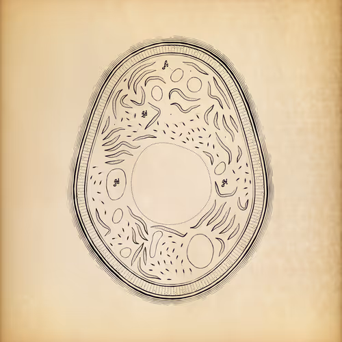 Cytographia #257