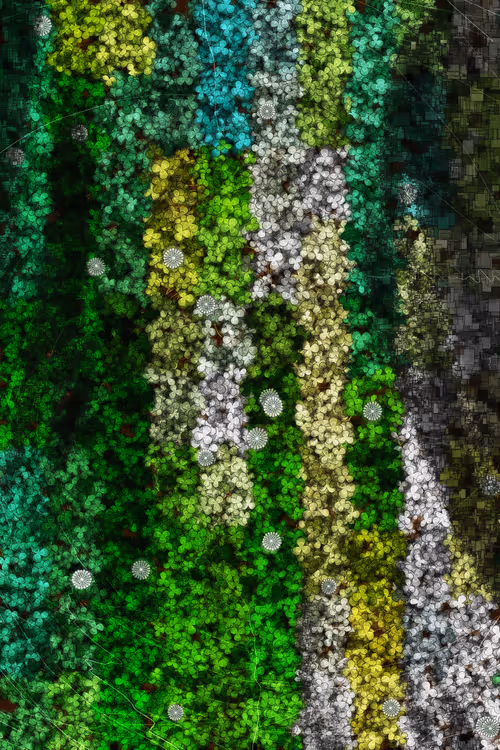 Item #478000039 Media