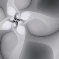 Volute #147