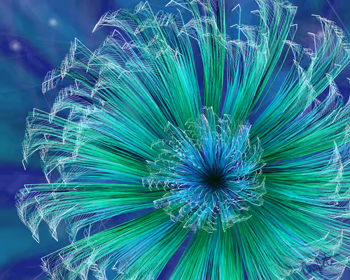 Item #378000033 Media