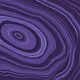 443000251