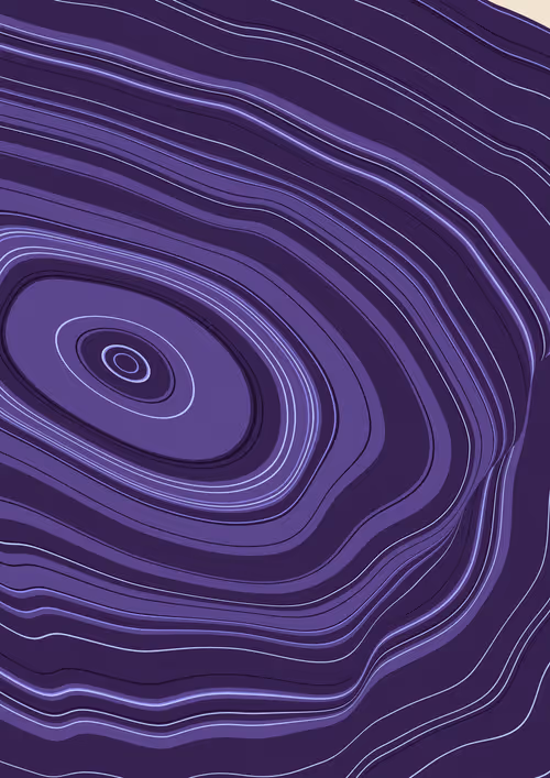 Item #443000251 Media