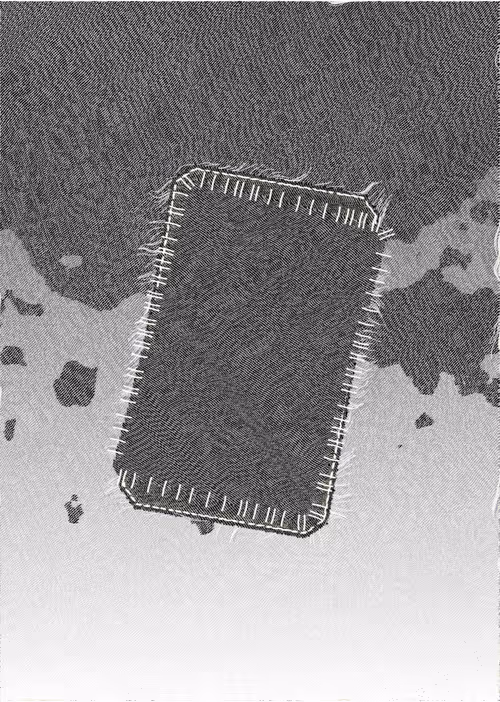 Item #410000023 Media