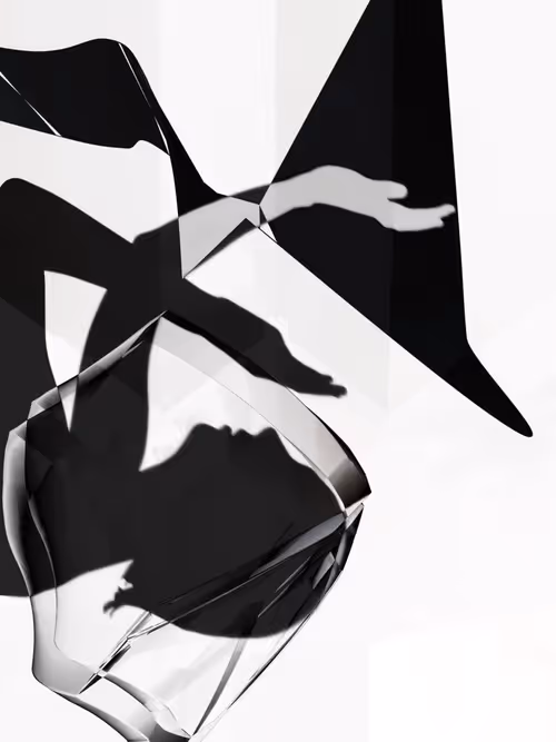 Item #455000200 Media