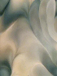 Item #399000173 Media