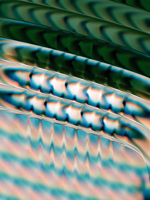 Item #484000049 Media