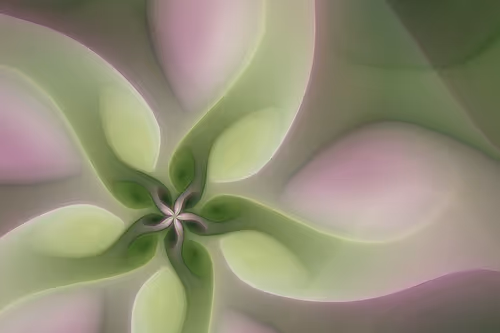 Item #394000054 Media