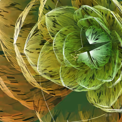 Fleur #288