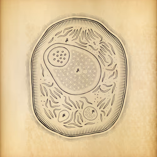 Cytographia By Golan Levin
